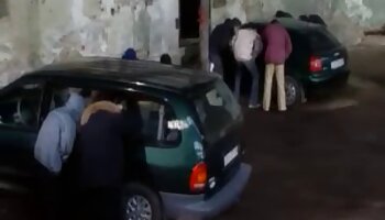 بیدمشک گربه نوجوان داغ سکس حشری متحرک
