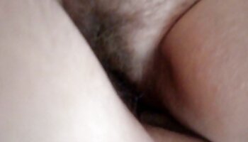 GF او عکس متحرک لاپایی را مجبور کرد از اسباب بازی FUNXPARTY در گربه مرطوب که بازی می کنید استفاده کند